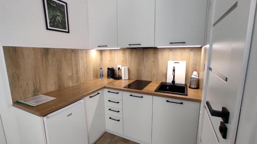 Kuchyňa alebo kuchynka v ubytovaní Apartamenty AgPa7