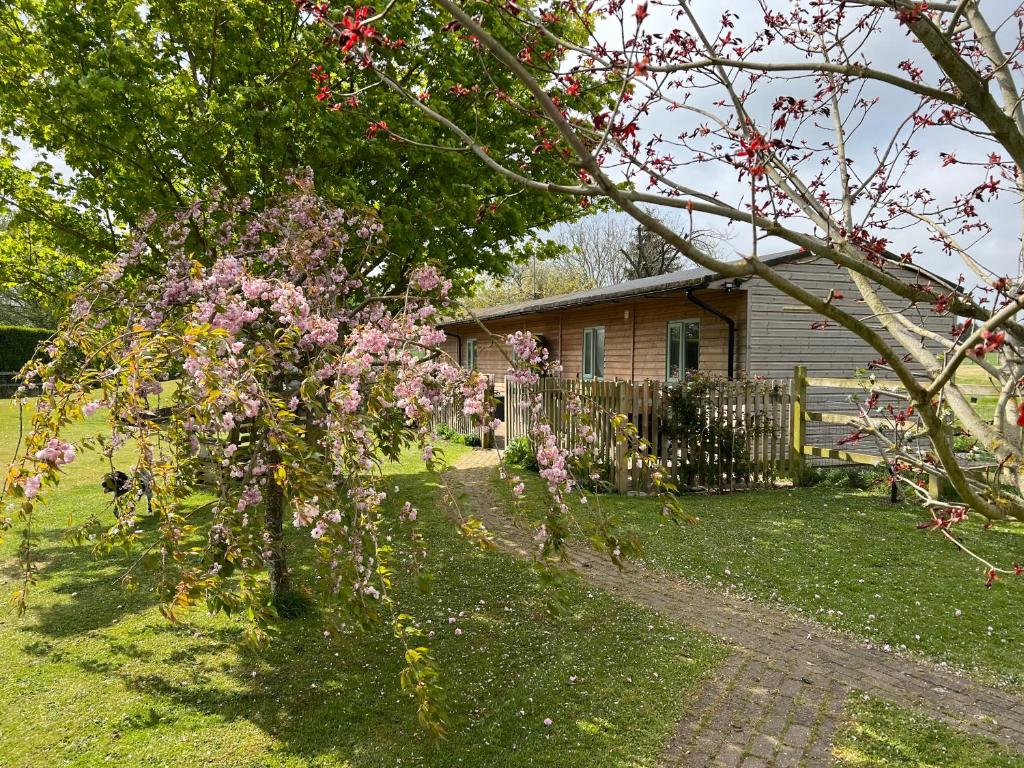 法弗斯漢的住宿－Little Owl Cottage，房子前面的花树