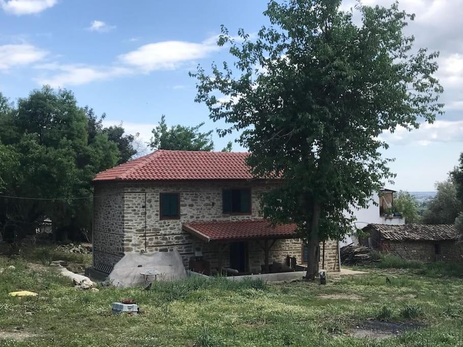 Budova, kde se apartmán nachází