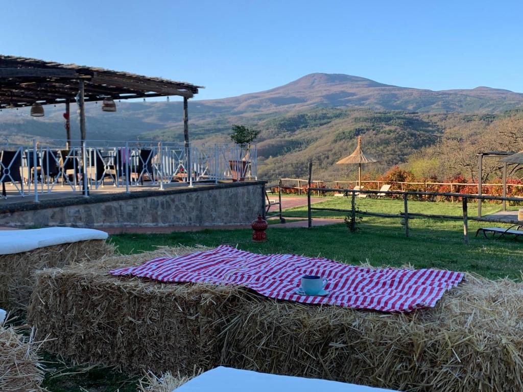 um cobertor rosa sobre um monte de feno num campo em Agriturismo Villa La Palazzetta Terre di GIORGIO em Castiglione dʼOrcia