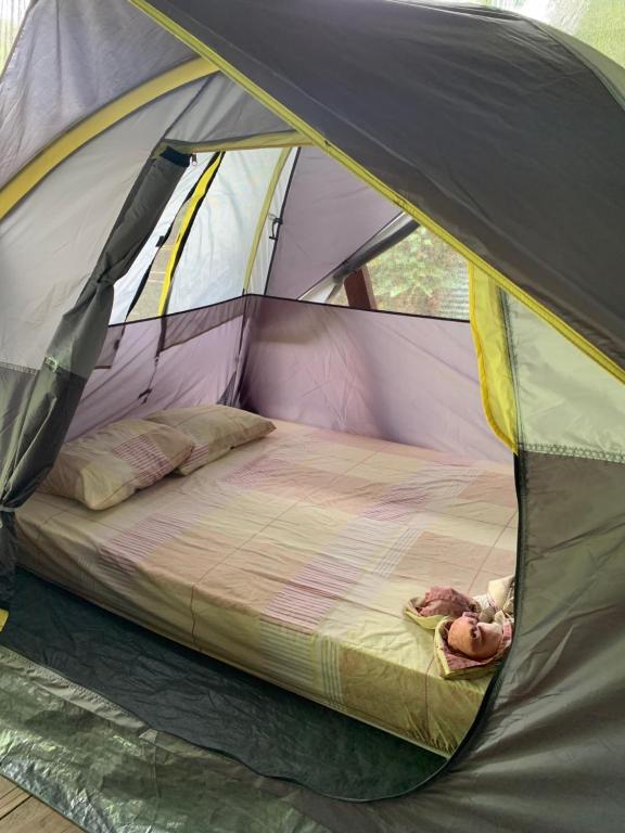 Hostal Camping La Y Griega, Bocas del Toro – Aktualisierte Preise für 2023