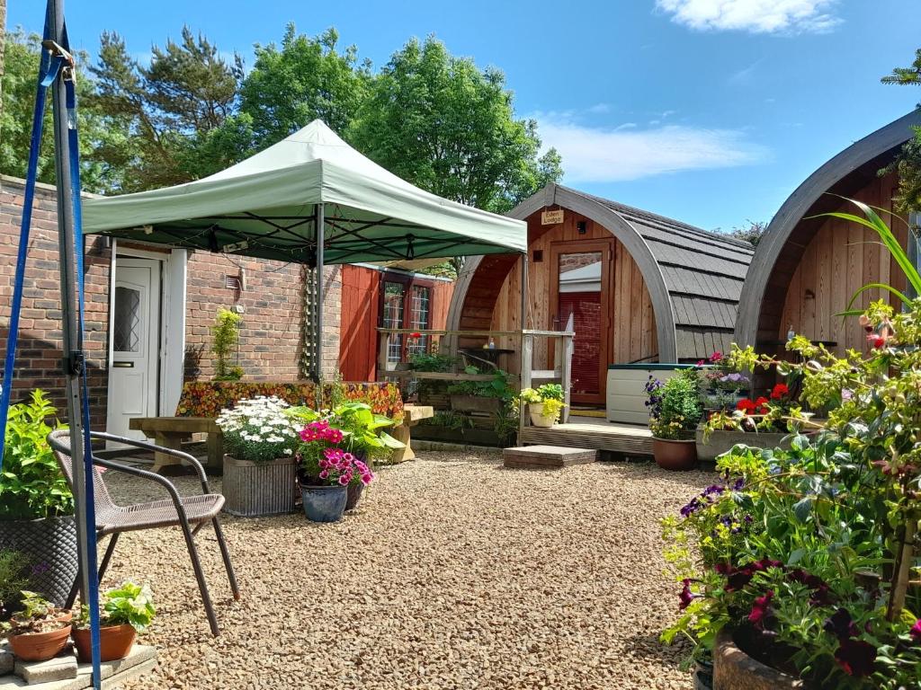 un jardín con una tienda y algunas plantas en Hadrian's Holiday Lodges, en Greenhead