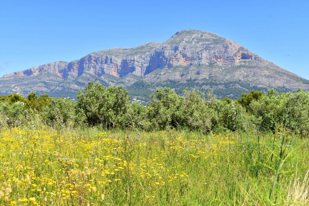 Kép Apartamento Jardines del Saladar Javea - 5038 szállásáról Jáveában a galériában