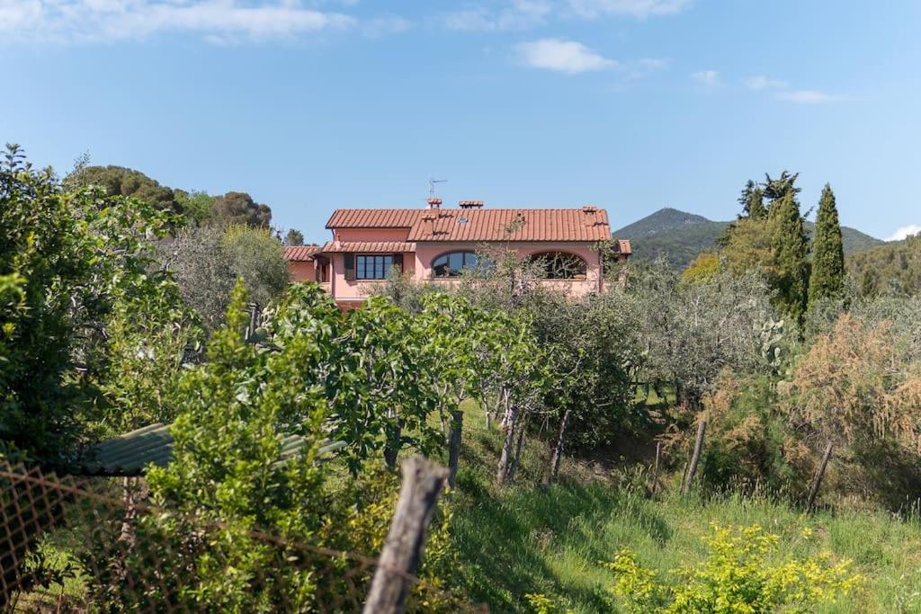 a house on top of a hill with trees at Agriturismo De Santis in Castiglioncello