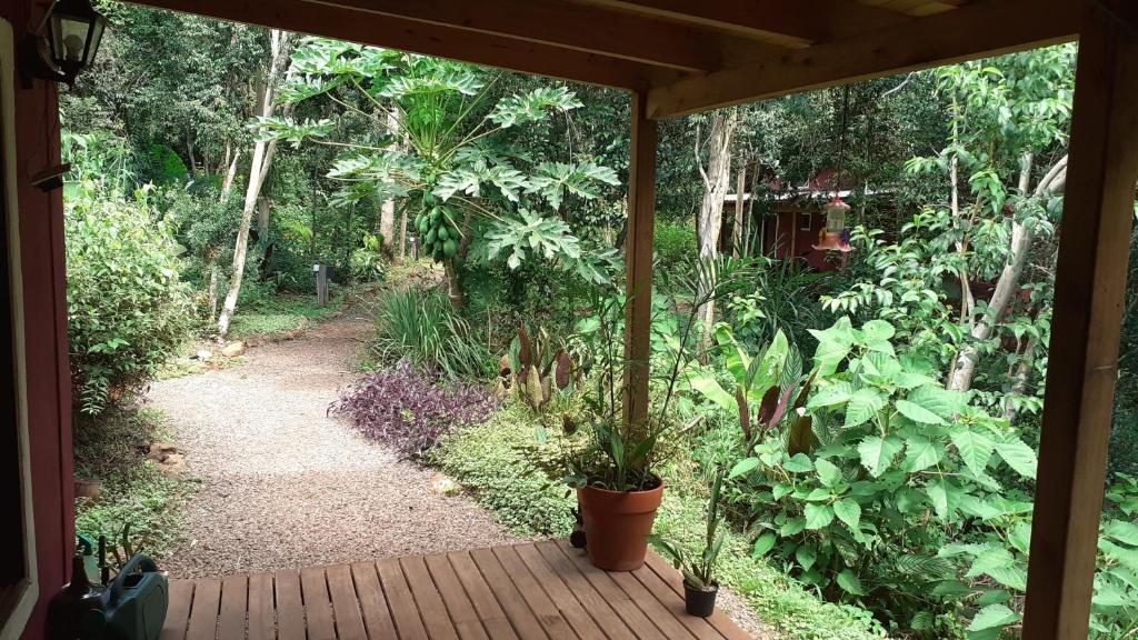 - une vue sur une terrasse couverte avec un jardin orné de plantes dans l'établissement Yateí-house, à El Soberbio