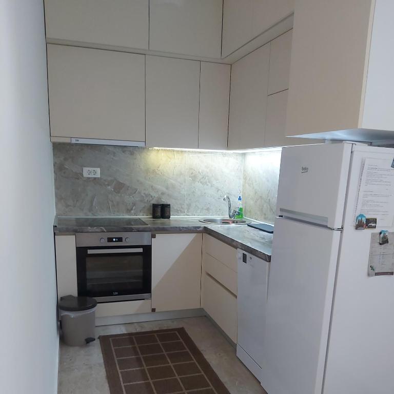 Kuchyň nebo kuchyňský kout v ubytování Apartman Miss T