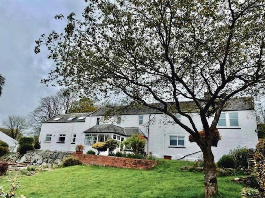 a white house with a tree in the yard at Airds Farm Guest House in Castle Douglas