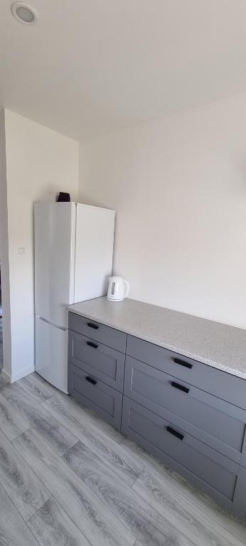 Kuchyň nebo kuchyňský kout v ubytování Storebælt Apartament