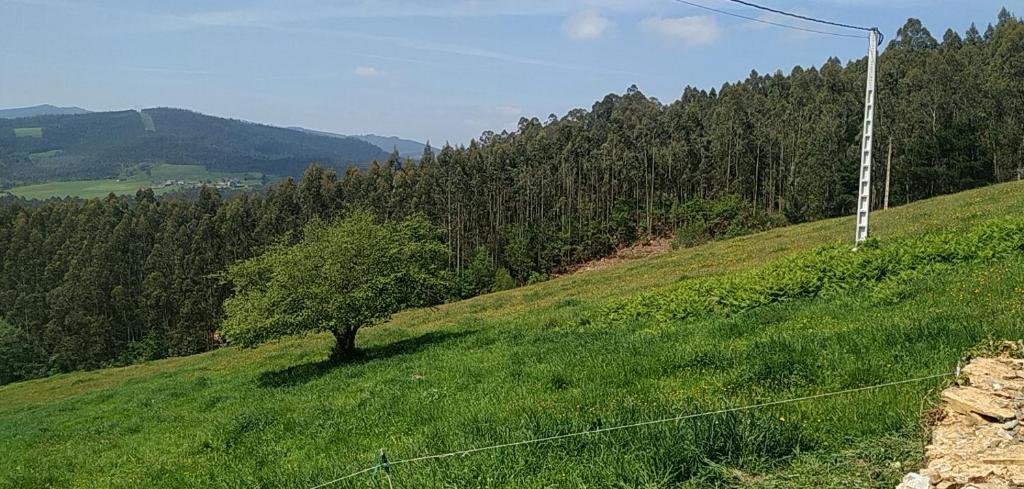 Príroda v okolí dovolenkového domu