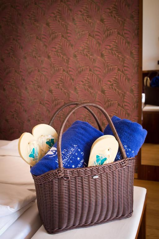 Fotografie z fotogalerie ubytování Hotel Campagnola v destinaci Bardolino