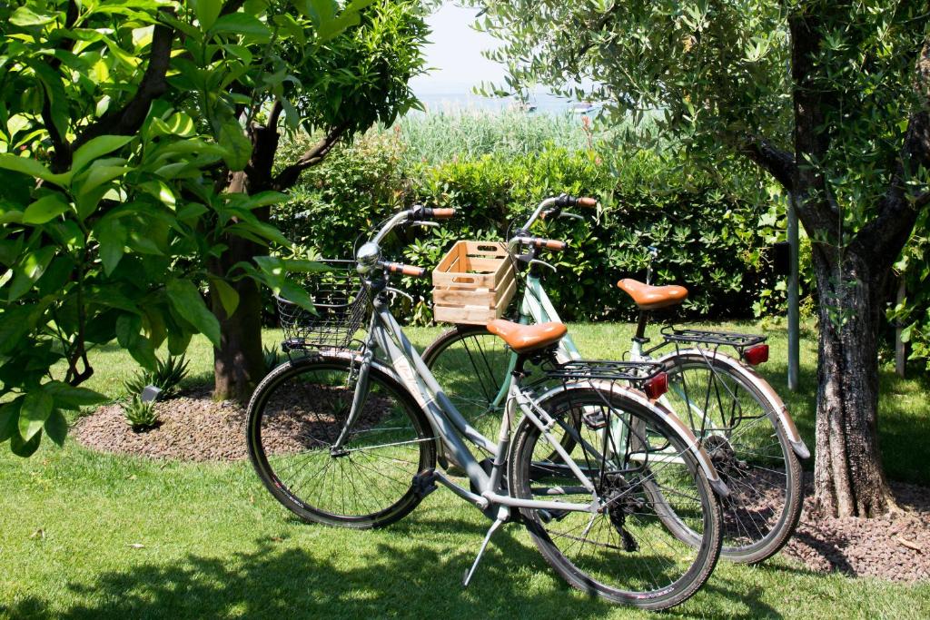 Jízda na kole v ubytování Hotel Campagnola nebo okolí