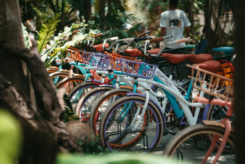 Jízda na kole v ubytování Hostel Oryx Tulum nebo okolí