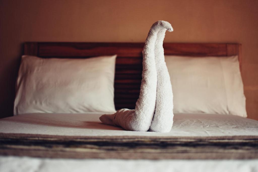 Gocta Miradors Deluxe