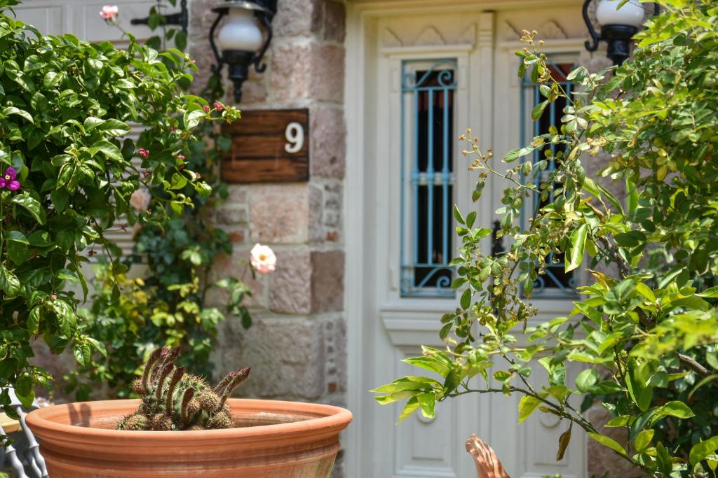 Zahrada ubytování Lunaria Guest House
