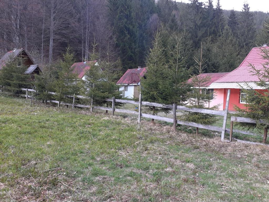 Paesaggio naturale nelle vicinanze dell'affittacamere