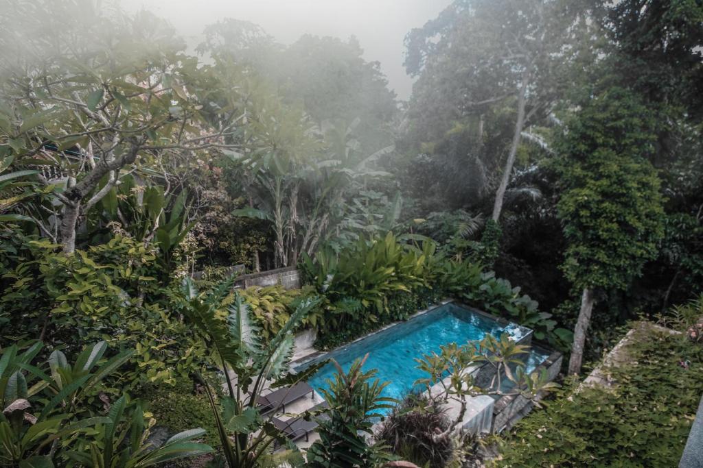 a swimming pool in the middle of a forest at Aji Lodge Bungalow in Ubud