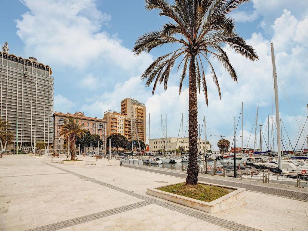 palma na placu obok przystani w obiekcie Apartment in Cagliari near Central Station w Cagliari