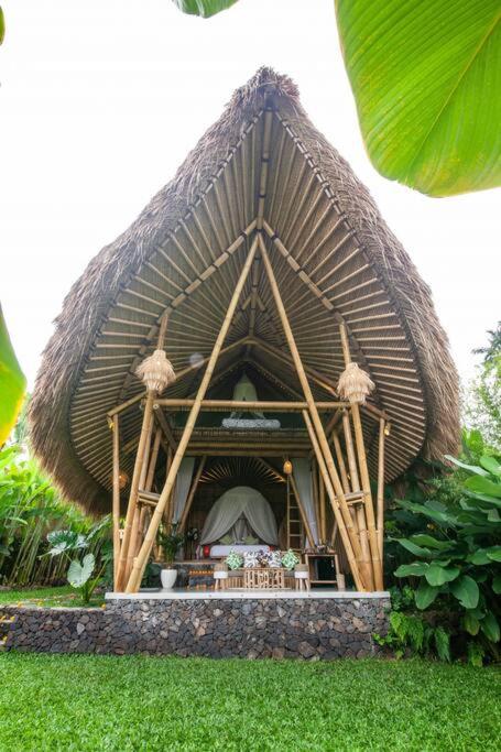 Balikayanas Bamboo House - Miggiell House - 7