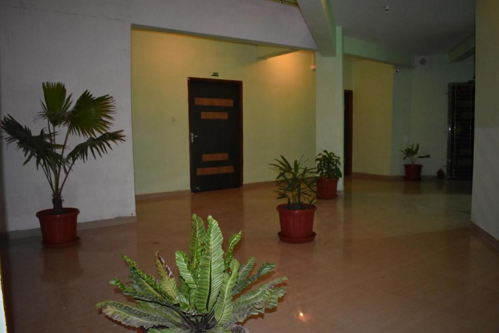 Fotografie z fotogalerie ubytování HOTEL PURI GREENS v destinaci Purí