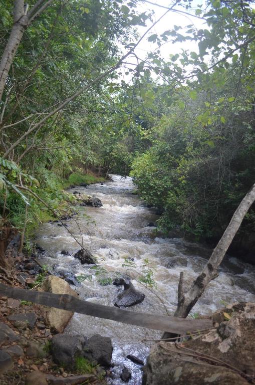 a stream of water with a wooden bridge over it at Pacha Waterfront Nithi in Chuka