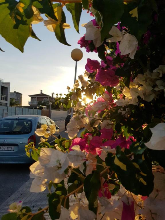 La Zenia Holiday Home, Playas de Orihuela – Updated 2023 Prices
