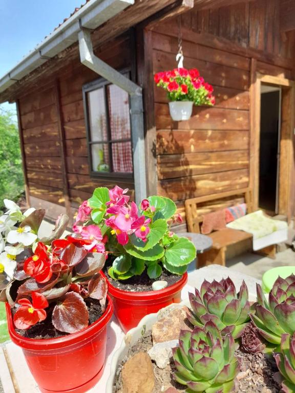 Zahrada ubytování Kuća za odmor Kalina
