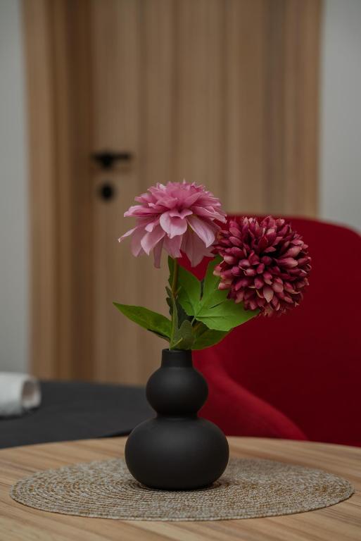 Fotografie z fotogalerie ubytování Maestro - Rooms & Restaurant v destinaci Vukovar
