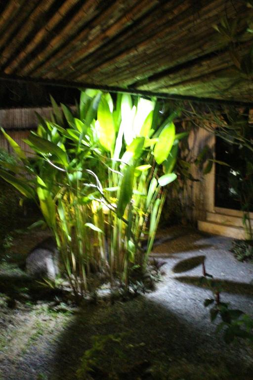 B Happy Resort - SHA ExtraPlus - 19