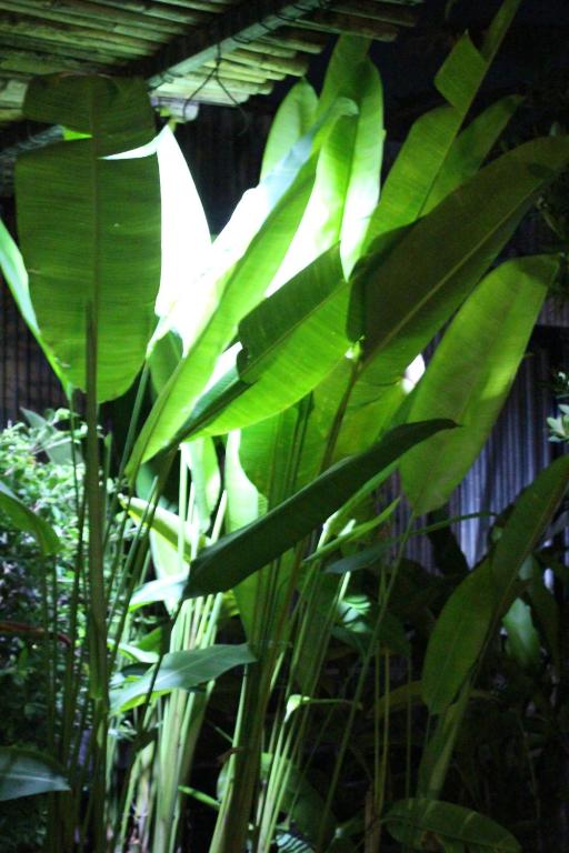 B Happy Resort - SHA ExtraPlus - 17