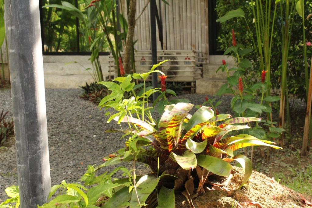 B Happy Resort - SHA ExtraPlus - 16