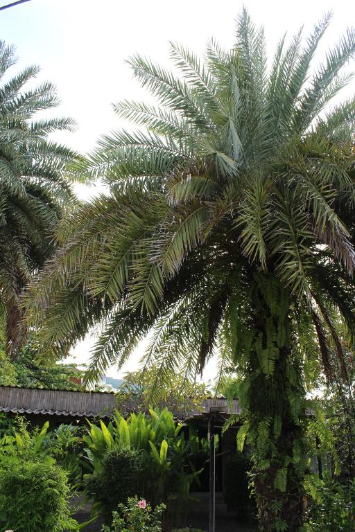 B Happy Resort - SHA ExtraPlus - 15