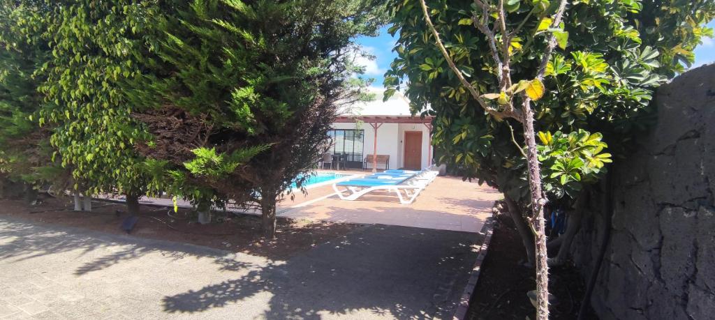 Zahrada ubytování Villa Celeste