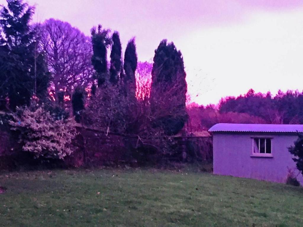 a house in a field with trees in the background at Outstandingly situated cosy Shepherds Hut in Longhope