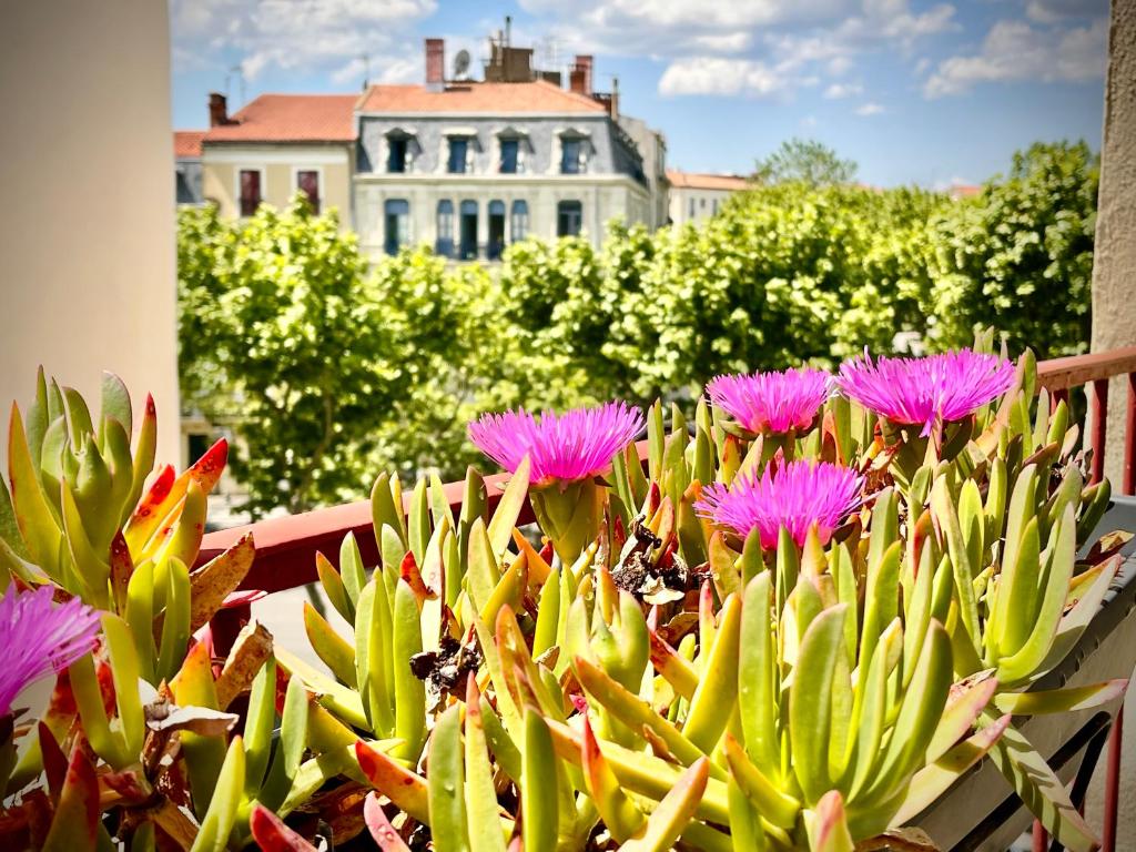 Zahrada ubytování Hôtel Paul Riquet