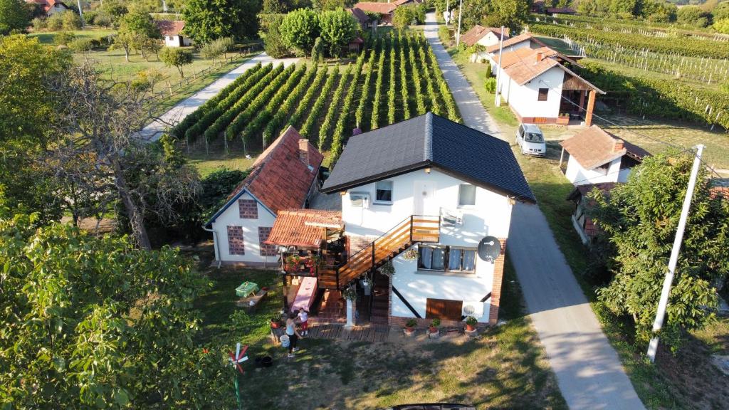an aerial view of a house with a vineyard at Apartman - Vinska Cesta in Ðurđevac
