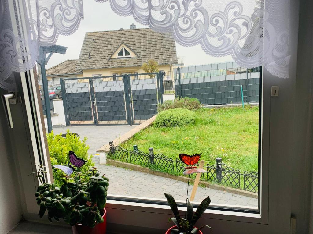 Zahrada ubytování Birgeler Home