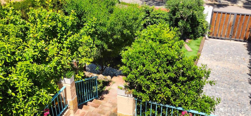 Fotografie z fotogalerie ubytování La Casita v destinaci Partida de La Cañada