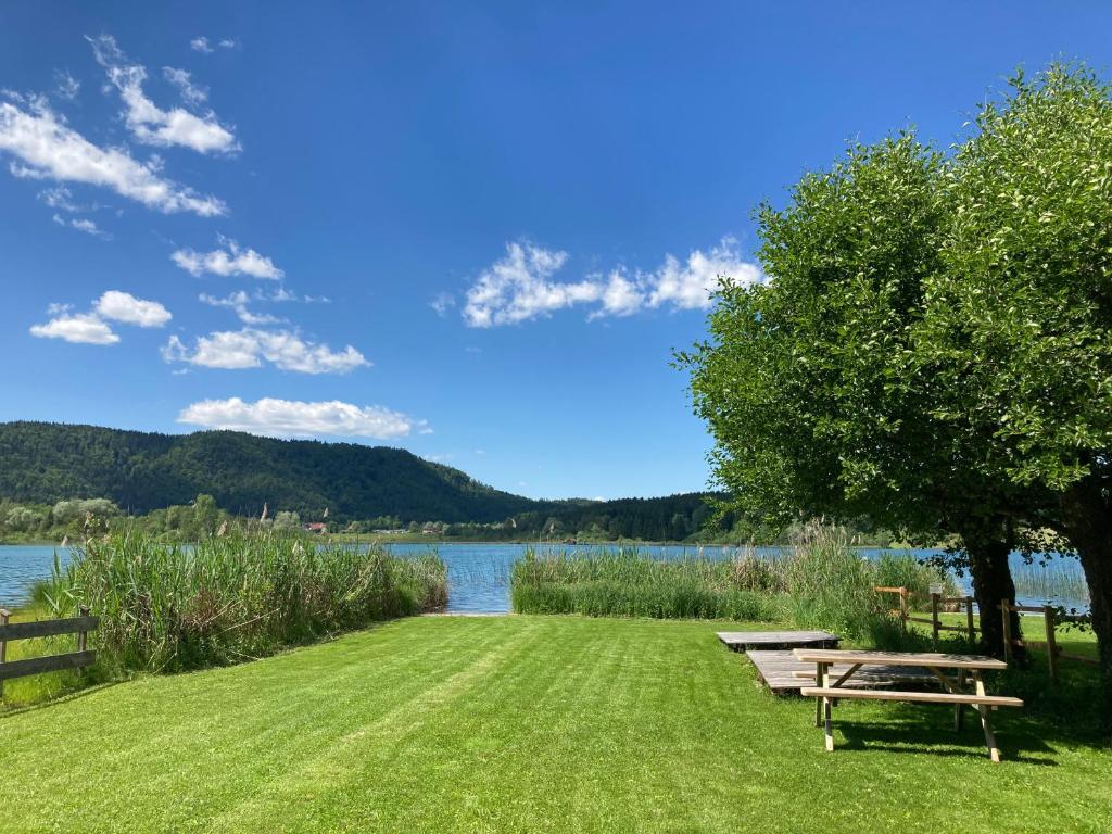 einen Park mit Bänken und einem Baum neben einem See in der Unterkunft Ferienwohnungen Blazej am Turnersee in Sankt Primus am Turnersee