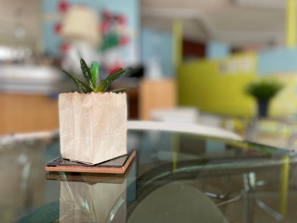 Fotografie z fotogalerie ubytování Hotel Aloha v destinaci Cesenatico
