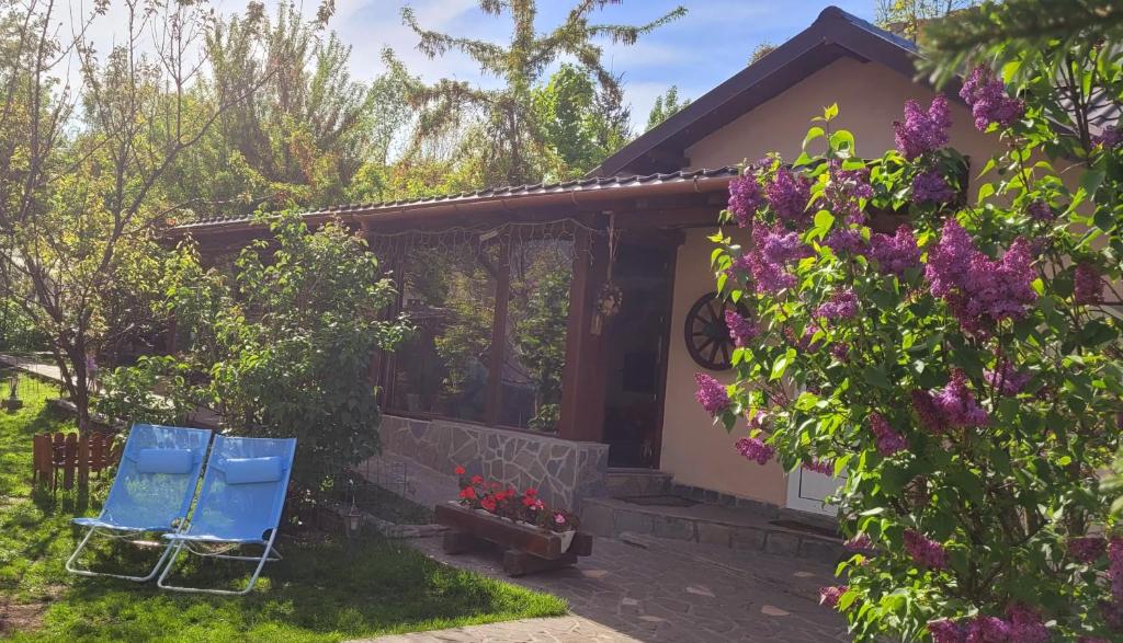 two blue chairs in front of a house with flowers at Casa Mara in Breaza