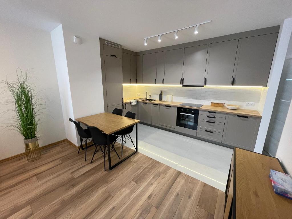 Kuchyňa alebo kuchynka v ubytovaní NEWPORT Industrial Apartment