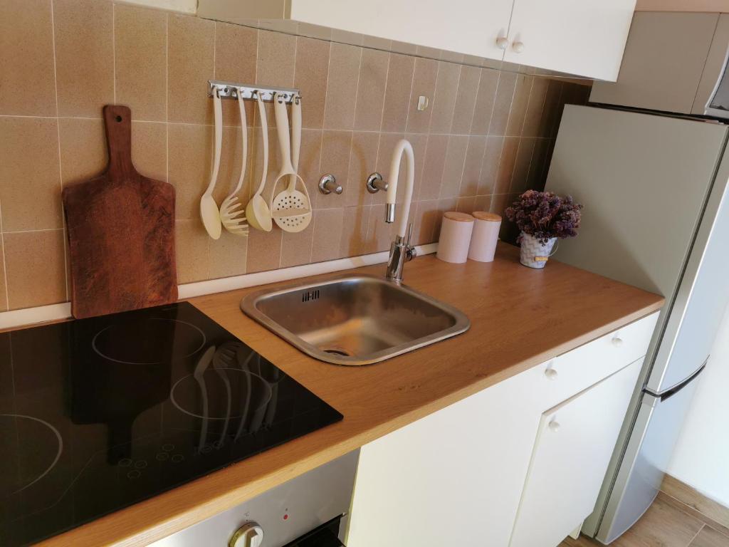blat kuchenny ze zlewem i lodówką w obiekcie Apartman Blaslov Kali w mieście Kali