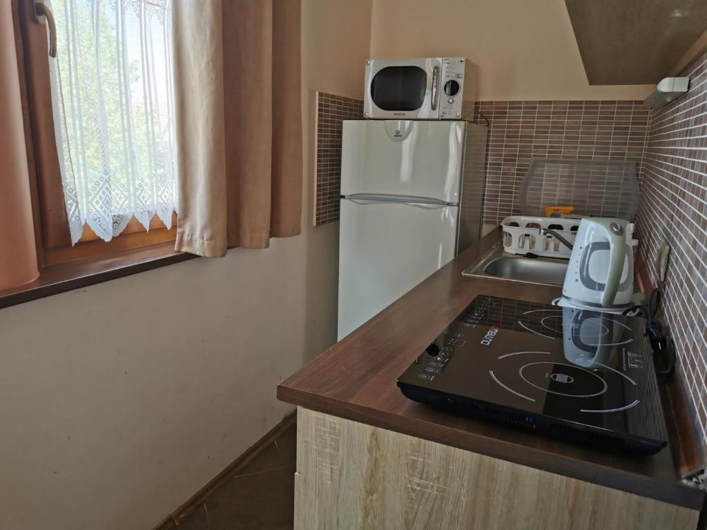 Kuchyňa alebo kuchynka v ubytovaní Tiborc Apartman