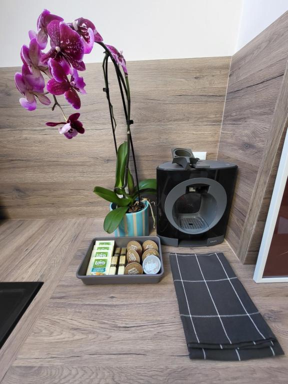 a table with a coffee maker and a vase with purple flowers at AMAYA in Varna City