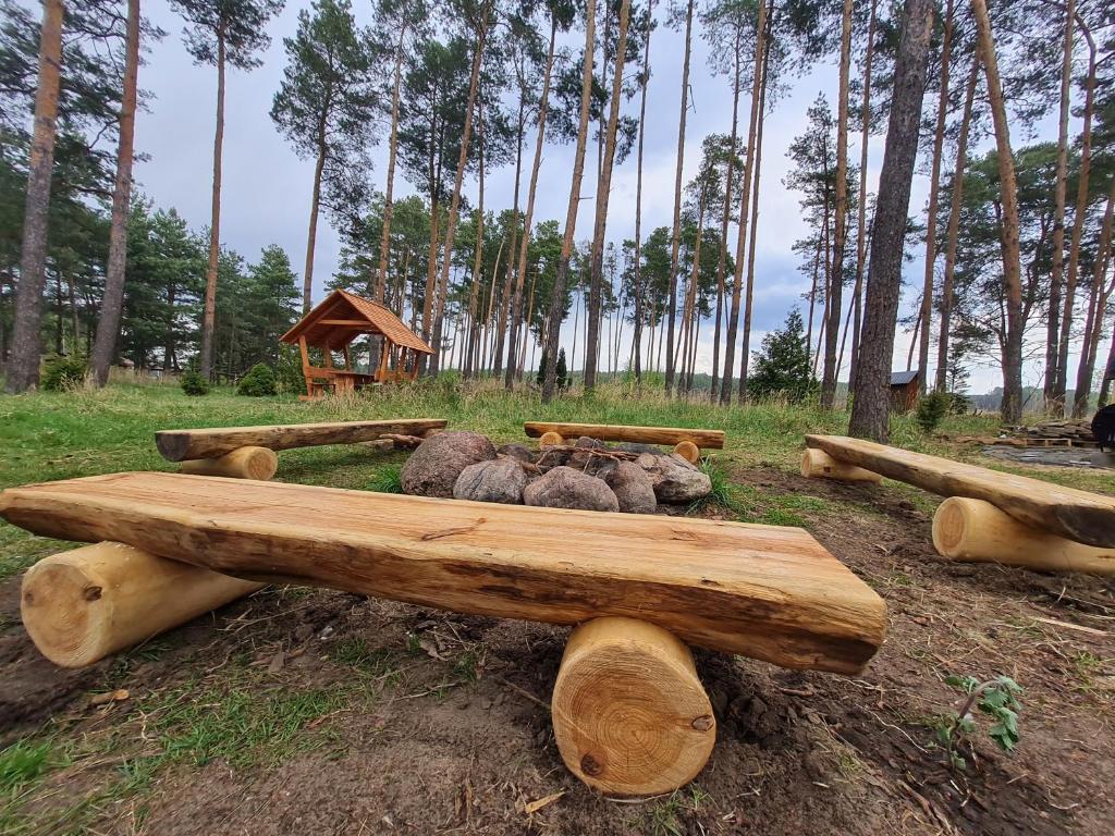Príroda v okolí dovolenkového domu