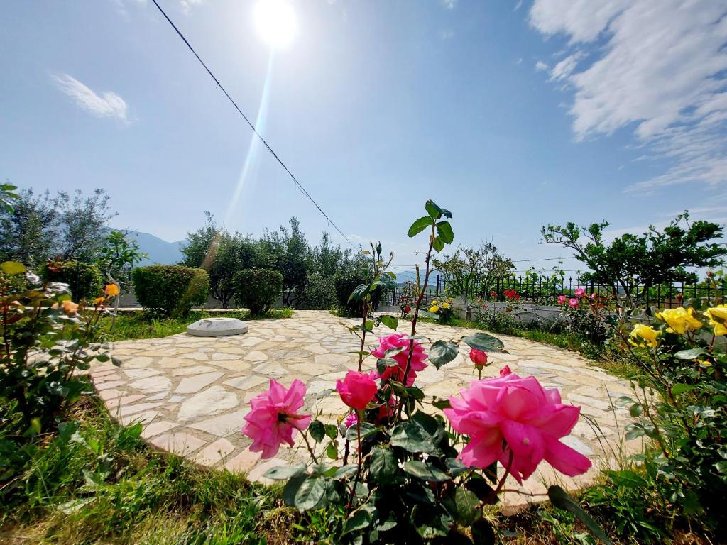 un jardín con flores rosas y un patio de piedra en Vlore Casa Vacanze, en Vlorë