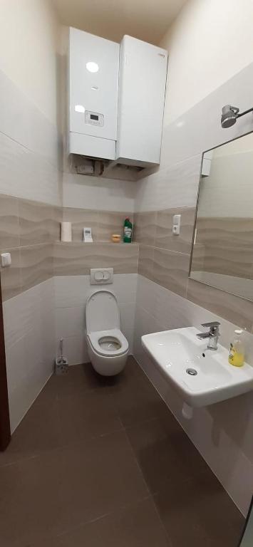 Koupelna v ubytování Zámecká zahrada-apartmány