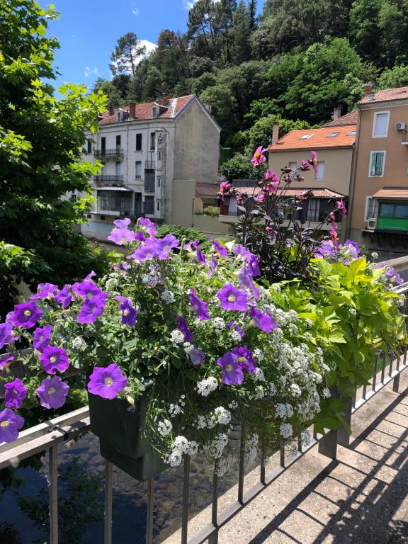a bunch of flowers sitting on a balcony at Grand hôtel de l&#39;Europe in Vals-les-Bains