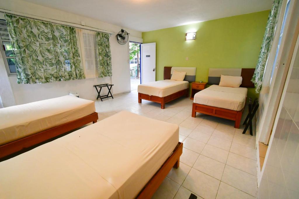 a room with two beds and green walls at Las Palapas de Punta Allen in Punta Allen