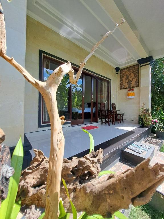 Zahrada ubytování Home Stay Evo